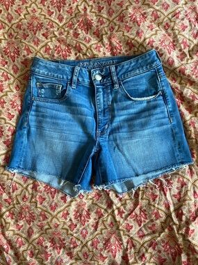 American Eagle Outfitters Women's Blue Denim Cutoff Shorts